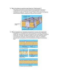 We did not find results for: Review Questions Plasma Membrane 1 What Is The Function Flip Ebook Pages 1 11 Anyflip Anyflip