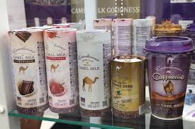 Camel milk tastes just like cow milk and is nutritionally comparable and so can be used for homemade baby formula with this very important caveat. Camelicious Looks To European Market