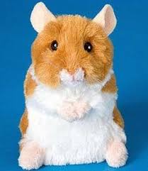 Cheek bags for edibles add appeal. Cute Hamster Cage Coloring Pages Novocom Top