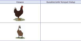 Pembelajaran 3 tema 2 kelas 4 halaman 69 70 71 72. Kunci Jawaban Tema 3 Kelas 4 Sd Halaman 76 77 78 Buku Tematik Subtema 2 Pembelajaran 5 Tribunnews Com Mobile