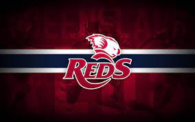 Queensland Reds Desktop Wallpaper Rugby Wallpaper Desktop Wallpaper Wallpaper