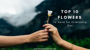 Did you know that you could give these to a friend even on his/her birthday? What Flower Best Represents Friendship