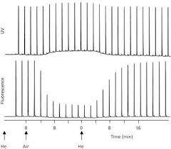 Students show that although uv light cannot be seen by the human eye, it is still present in sunlight, and can be detected using this sensor. How Does It Work Part V Fluorescence Detectors