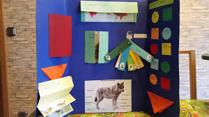 Lapbook Wolf Grundschule Volksschule Schule