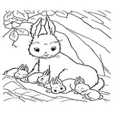 Bunny rabbit coloring page 03 coloring page. Top 10 Free Printable Rabbit Coloring Pages Online