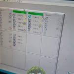 Europa oferă fonduri afacerilor mici. Livada De Nuci Altoiti Cu Fonduri Europene Nuci Altoiti De Vanzare