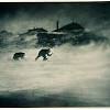 The windiest place on earth is commonwealth bay in antarctica. Https Encrypted Tbn0 Gstatic Com Images Q Tbn And9gcq7rbo94c3rkhpfij0skncsdfzrihzeryioe9rcoap1fkomdz1s Usqp Cau