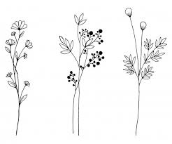 Vintage Flowers On White Background Flower Drawing Wildflower Drawing Vintage Flowers