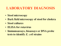 Image result for Stool Leukocytes