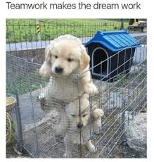 See more of dog meme on facebook. 30 Funny Work Memes For Any Office Situation Best Life