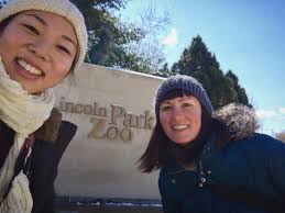 What Happens To The Lincoln Park Zoo Animals In The Winter?