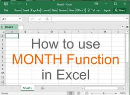 Month Function Will Return You Month Of The Date Entered In Your Excel Sheet For Example You Can How Much You Have Sell Microsoft Excel Excel Excel Tutorials