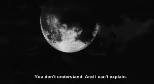 We did not find results for: Love Romantic Love Moon Quotes Tumblr 89 Quotes X