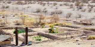 If you follow the principles of permaculture then you are automatically creating a permaculture garden. Arizona Gardening A Permaculture Garden Design