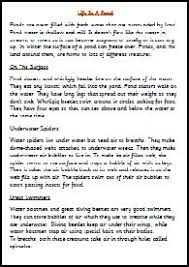 Ks1 How To Writing A Non Chronological Report Writing Non Chronological Reports Ks1 Exa Non Chronological Reports Informational Writing English Writing Skills