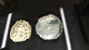 What is a metal detector needed for? What Could This Be Meteorite Non Magnetic And Doesn T Show Up On Metal Detector Geology
