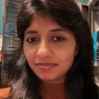 12600+ "Bee Bee" profiles