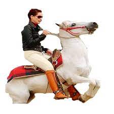 Horse ride vk