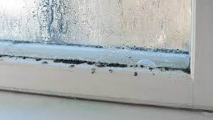 Common causes of bedroom mold. Winter Brings Mold Here S How To Stop It