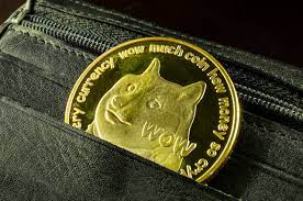 Musk mentioned doge as a potential mother's day gift standing alongside his mother. Elon Musk Causes Another Dogecoin Pump Should You Buy Doge Bitcoin Insider