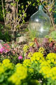 Details Im April Garten Dieartige Design Studio Interior Design Private Refugien Offentliche Raume Ferienunterku Garten Hainbuchenhecke Wolfsmilch