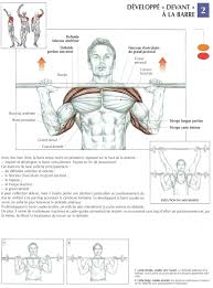 Par exemple, au banc vous travaillez principalement les muscles de la poitrine, mais quels muscles entraîner ensemble ? Bpjeps Musculation