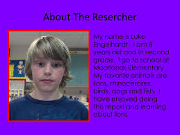 Lion By.Luke Ms.Wienberg.