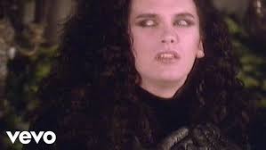 Steven Coy Cook & Dave Robey