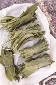 Der bärlauch ist eine pflanzenart aus der gattung allium und somit verwandt mit schnittlauch, zwiebel und knoblauch. Barlauch Guide Wann Wachst Barlauch Tipps Zu Anbau Ernte Und Verwendung Uponmylife In 2020 Barlauch Barlauchpesto Selber Machen Barlauch Rezepte