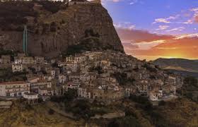 Image result for Sutera debilis