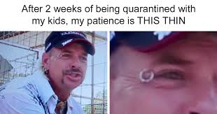 Murder, mayhem, and madness and we both stared in awe for a few minutes before deciding to check out the first episode. 30 Best Memes Inspired By The Tiger King Bored Panda