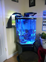 The subreddit for anything related to aquariums! Your Bedroom Aquarium Page 2 General Discussion Nano Reef Community