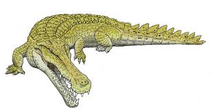 川崎悟司 日本にいた絶滅古生物 夏期企画展 続き 恐竜 イラスト 絶滅 恐竜