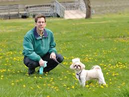 Accordingly, you can use peels of lemon, lime, orange or grapefruit to keep fido out of your yard. Is Poo Being Left In Your Yard