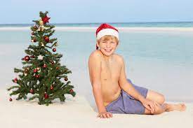 Find the best deals for beach christmas decorations. 6 631 Beach Christmas Tree Photos Free Royalty Free Stock Photos From Dreamstime