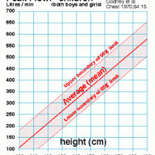 the asthma peak flow diary a powerful tool for managing