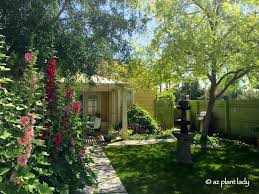 If i could grow an acre of basil i'd be happy! Flowering Annuals Archives Desert Gardening 101