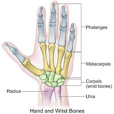 Doctors have developed a better way to treat carpal tunnel. Hand And Wrist Fracture And Injury Settlements Car Accidents Etc