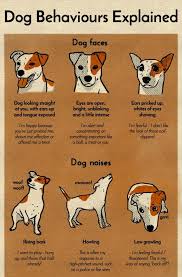 a chart that will help you finally understand your dog