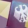 Record Number of Naturalizations in Germany Highlights Dominance of Syrian and Turkish Groups