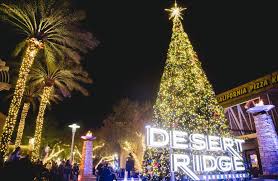 Merry christmas to all of our subscribers!!!here's a flashback to this great little side trip we took to search for christmas trees in the nevada desert. Tree Lighting First Snowfall