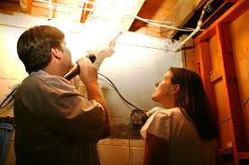 Pest is a county (megye) in central hungary. Home Eco Care Pest Management