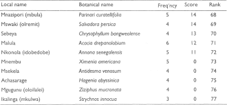 Image result for Chrysophyllum bangweolense