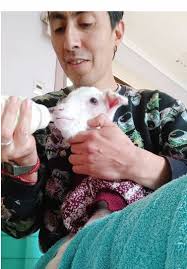 ¡Mirá como sos, Lucy! 🤣 Más allá de bromas, nos tiene un poco preocupados  la mini Lucy, porque ayer estuvo tosiendo y desde hoy en la tarde no toma  normal ni completo su biberón. Sobre todo con su ...