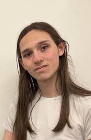 Tesla cars and trucks being ugly