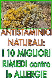 Devi sceglierne uno in base alla tua specifica allergia. 18 Ottime Idee Su Allergie Ai Pollini Alimentari Etc Nel 2021 Rimedi Naturali Rimedi Allergie