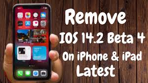 Remove Beta Profiles On Iphone Ipad How To Downgrade Ios 14 2 Beta To Ios 14 1 On Iphone Ipad Youtube