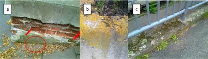 Find out what works well at arroyo building materials from the people who know best. Terrestrial Eutrophication Of Building Materials And Buildings An Emerging Topic In Environmental Studies Sciencedirect
