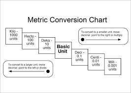 19 metric conversion chart templates free word pdf formats