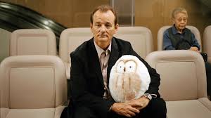 Sofia Coppola Took A Huge Risk In Writing Lost In Translation For Bill  Murray